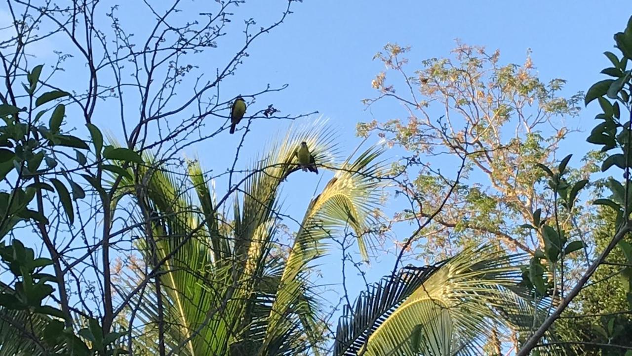 Villa Tortugas Akumal Eksteriør bilde