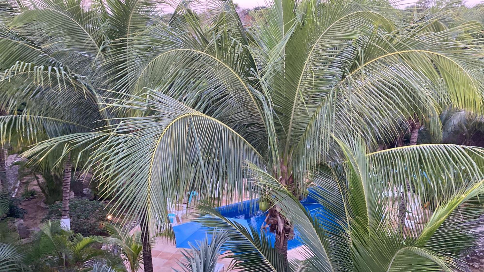 Villa Tortugas Akumal Eksteriør bilde