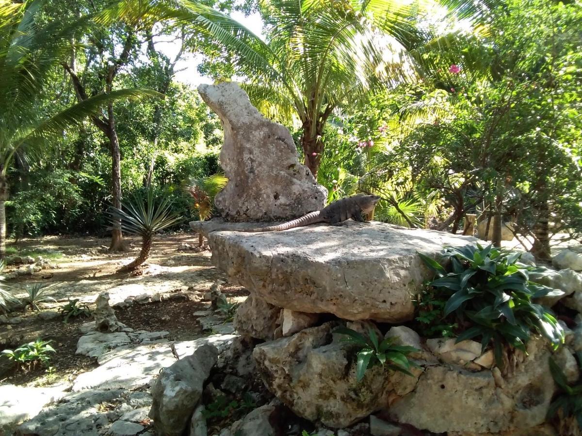 Villa Tortugas Akumal Eksteriør bilde